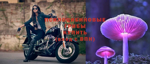 альфа пвп Надым