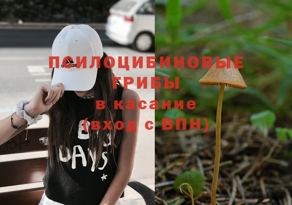 альфа пвп Надым