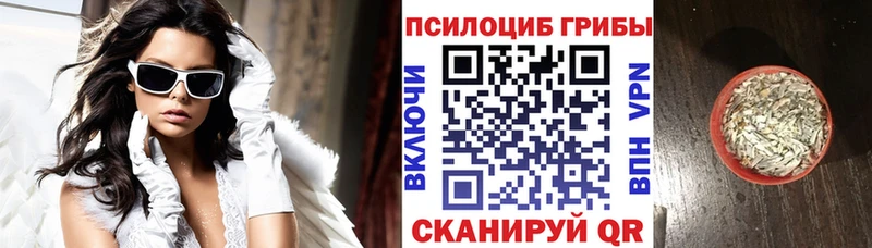 Купить  Макушино  Псилоцибиновые грибы ЛСД 